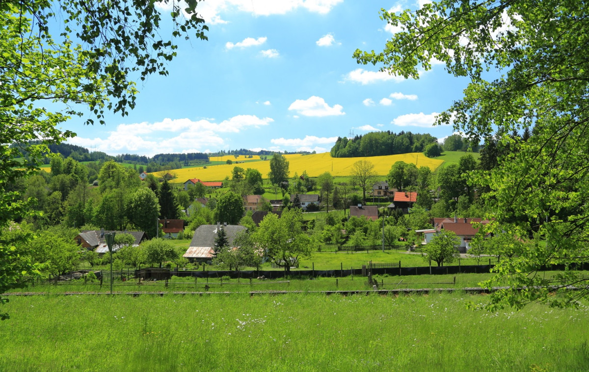 Borová